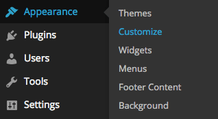 Theme customization in WordPress
