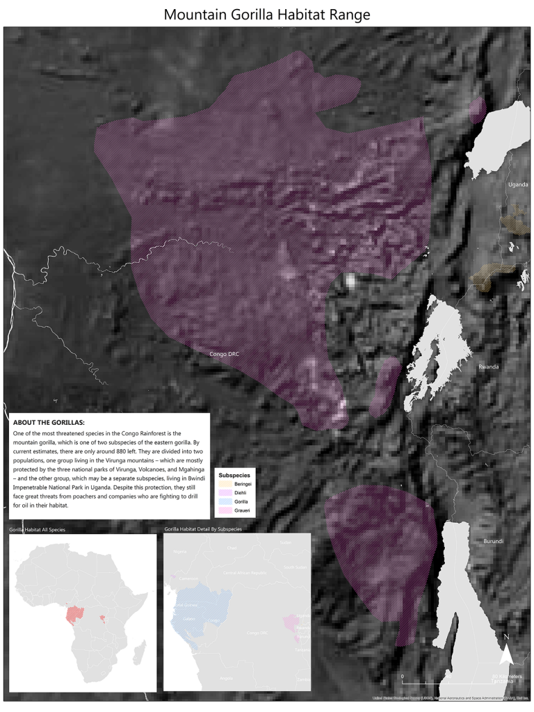 Virunga Rainforest - Click to Enlarge