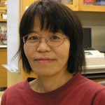 Chiaki Omura Research Technologist