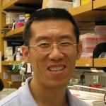 Wenyu Huang, MD PhD Instructor