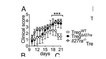 IL-27 and regulatory T cells