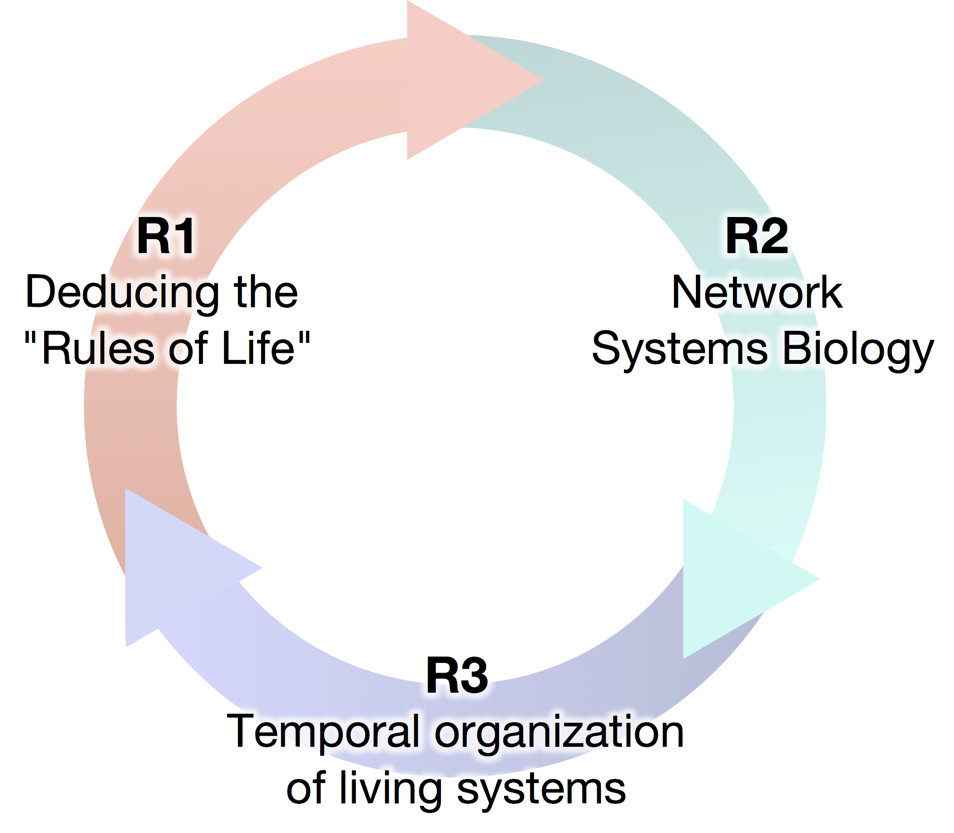 research cycle