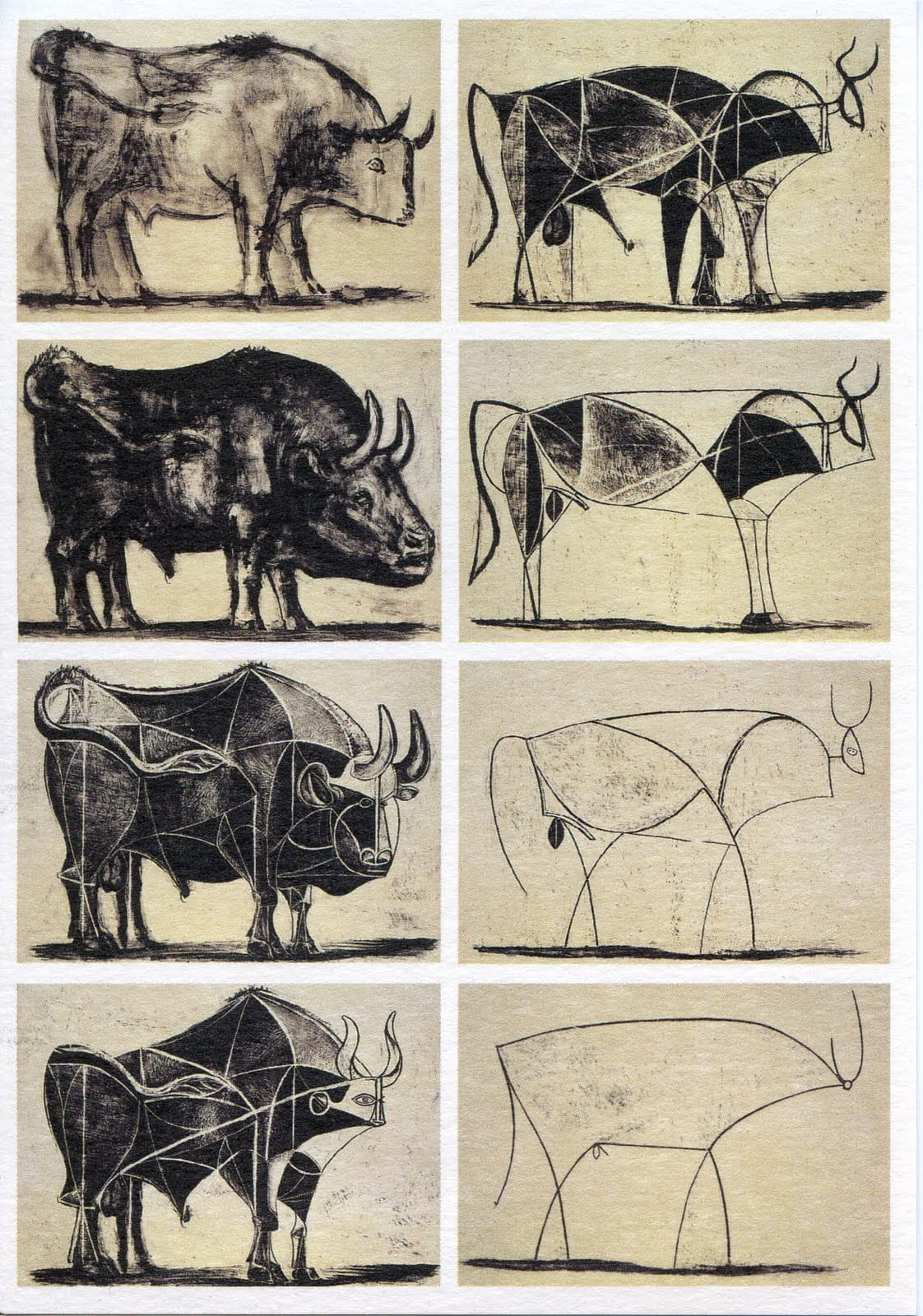 Picasso's Bulls