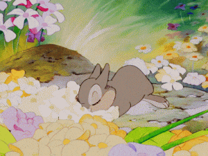 Bunny smelling flowers