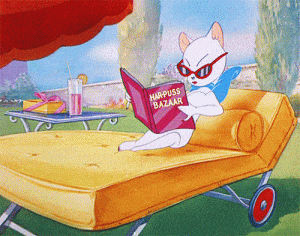 Cat relaxing and reading a book