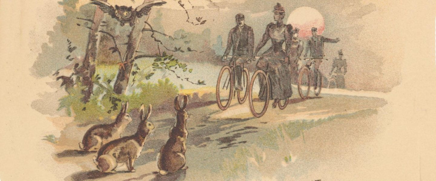 Illustration of cyclists on a nature trail with a trio of rabbits looking on in the foreground