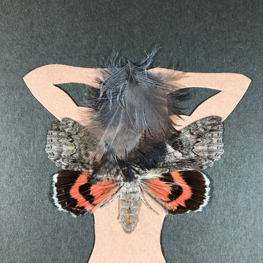 Close-up of a peach-colored torso and arms with a grey feather obscuring the face, and moth with grey, black, and orange wings covering the top of the torso.
