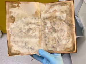 Book being held open by a blue gloved hand. The book pages have irregular circles and waves of brown mold