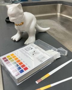 white ceramic dinosaur next to a clear plastic box with color squares on it