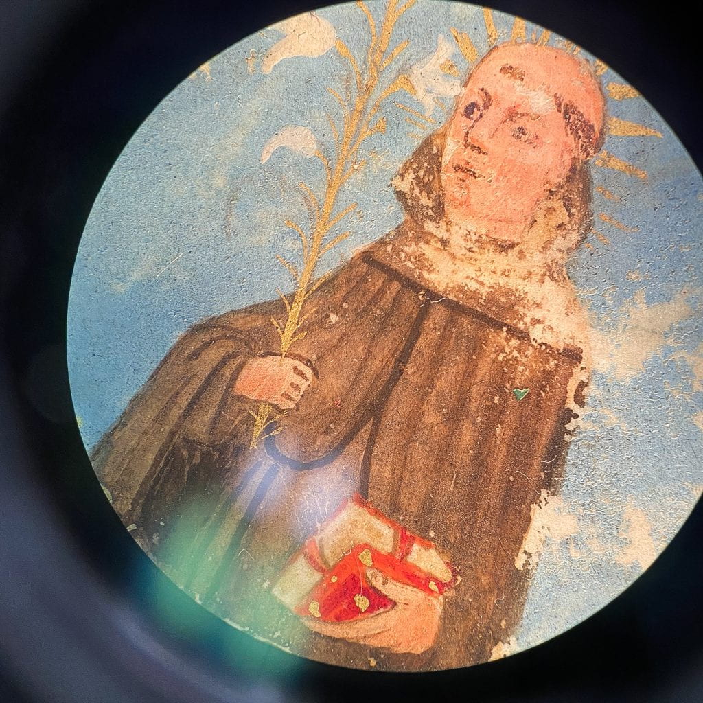 Detail through the microscope showing a miniature painting on a monk holing a branch with an out of place green flake on top of the monk's brown robe.