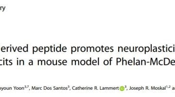 Article : Autism therapeutics using IGFBP2 peptides : Molecular Psychiatry 2023
