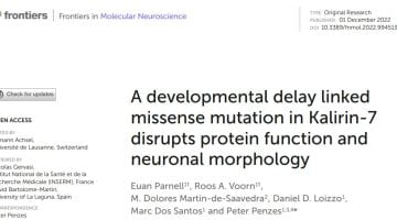 Article : A developmental delay linked missense mutation in Kalirin-7 disrupts protein function and neuronal morphology