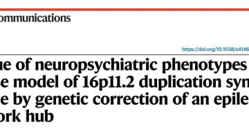 Article : Genetic correction of 16p11.2 duplication syndrome, Nature communications 2023