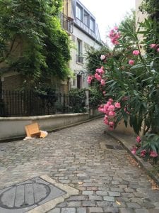 An alleyway in my arrondissement, 13.