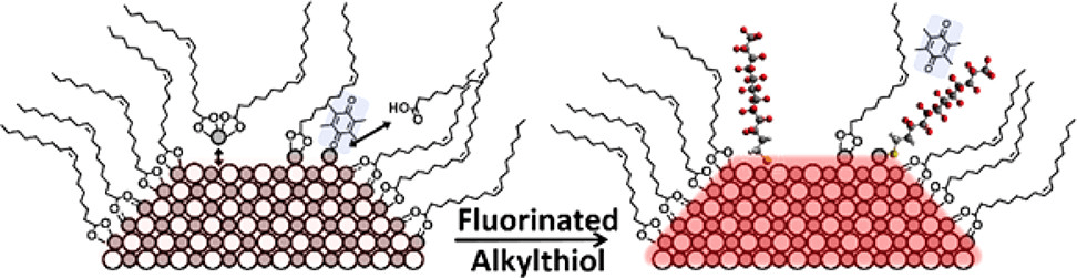 Mechanisms of Defect Passivation by Fluorinated Alkylthiolates on PbS Quantum Dots