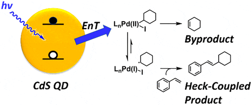 Energy Transfer from CdS QDs to a Photogenerated Pd Complex Enhances the Rate and Selectivity of a Pd-Photocatalyzed Heck Reaction