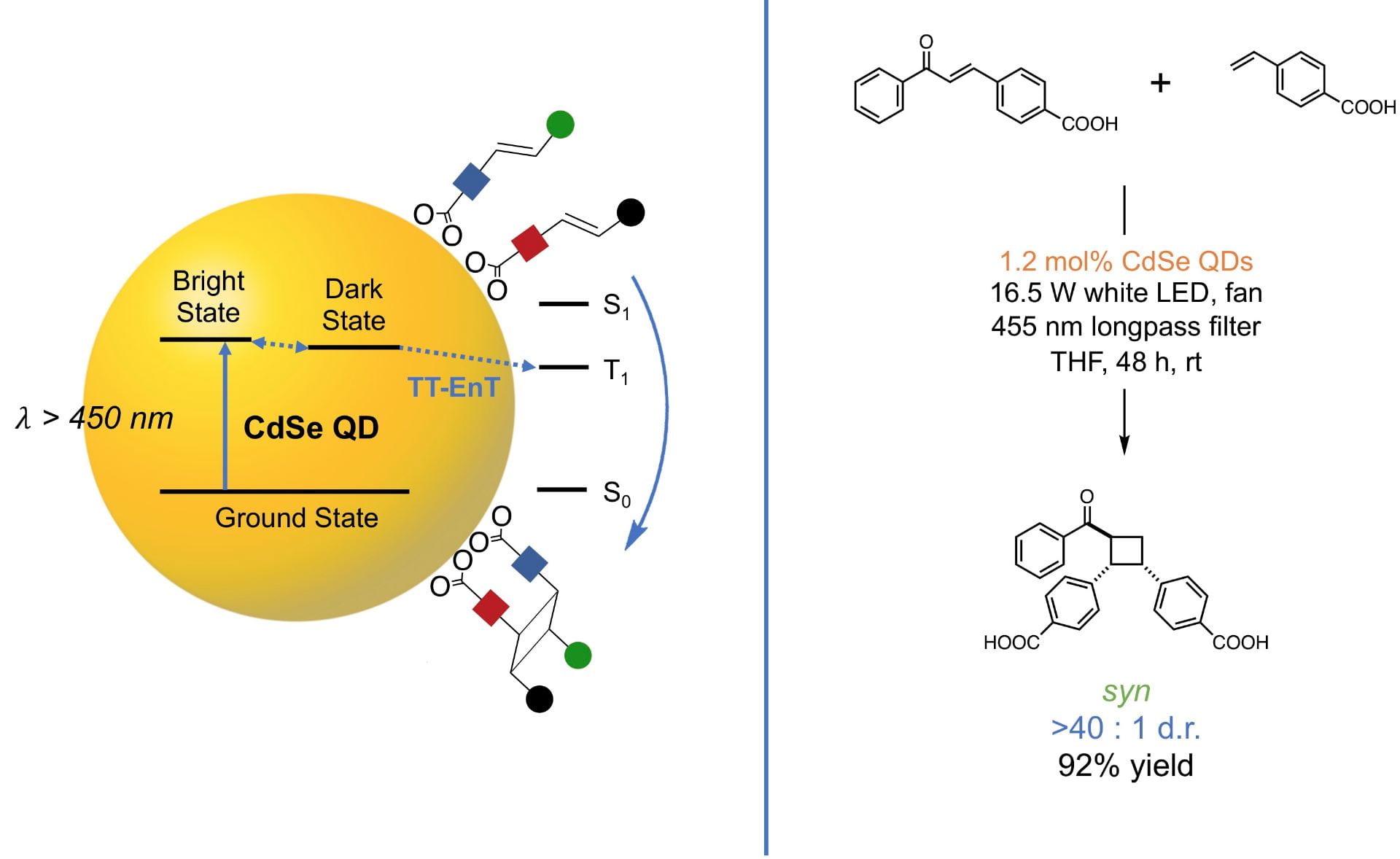 Regio-and diastereoselective intermolecular [2+2] cylcoadditions photocatalysed by quantum dots