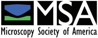 Microscopy Society of America Logo
